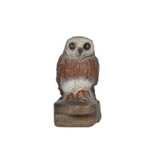 Franzbogen Little Owl